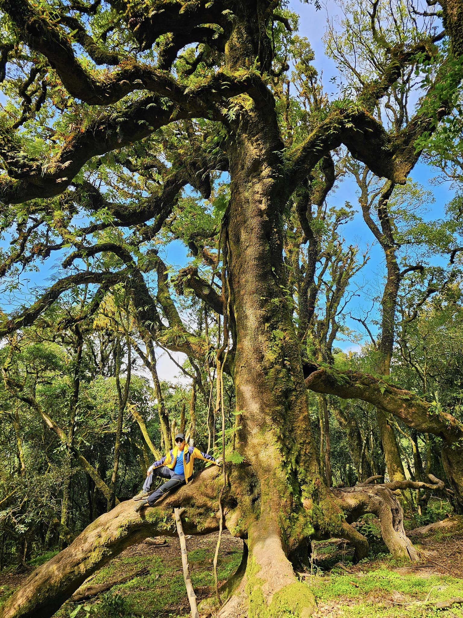 Hiking in Quang Binh Ha Giang's Bac Ha Tour 10 Days